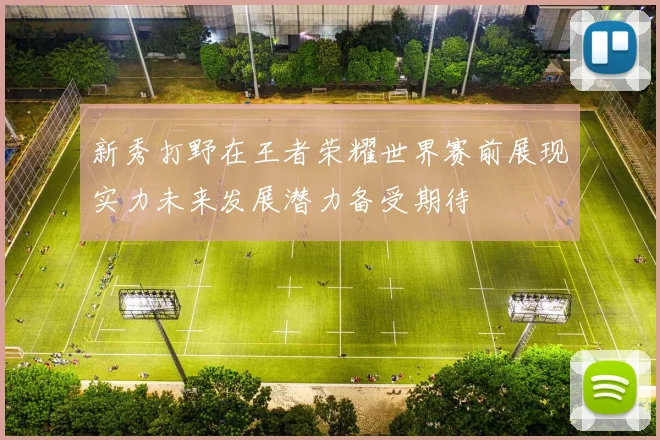 新秀打野在王者荣耀世界赛前展现实力未来发展潜力备受期待